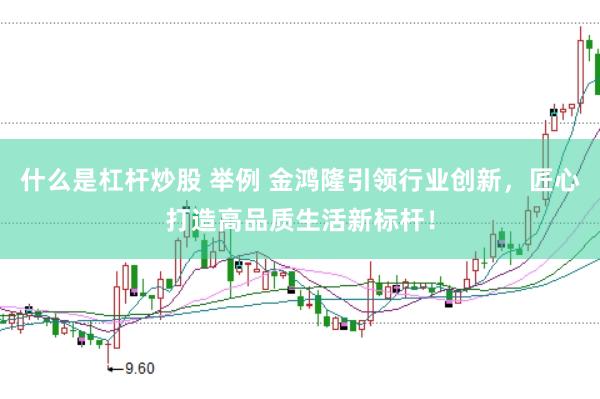 什么是杠杆炒股 举例 金鸿隆引领行业创新，匠心打造高品质生活新标杆！