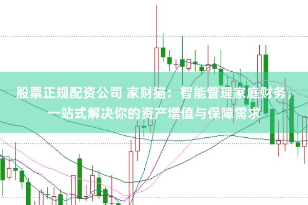 股票正规配资公司 家财猫：智能管理家庭财务，一站式解决你的资产增值与保障需求