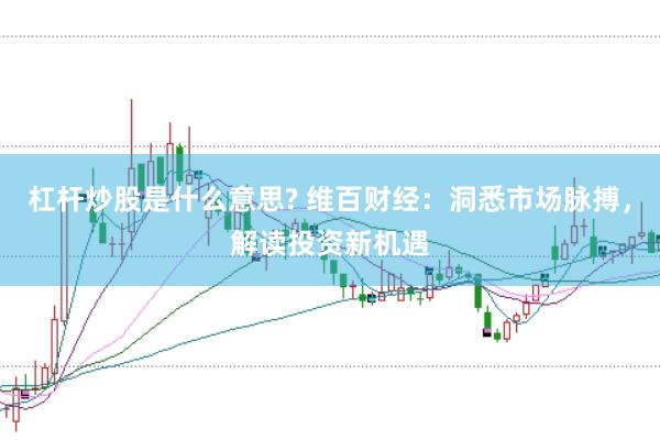 杠杆炒股是什么意思? 维百财经：洞悉市场脉搏，解读投资新机遇