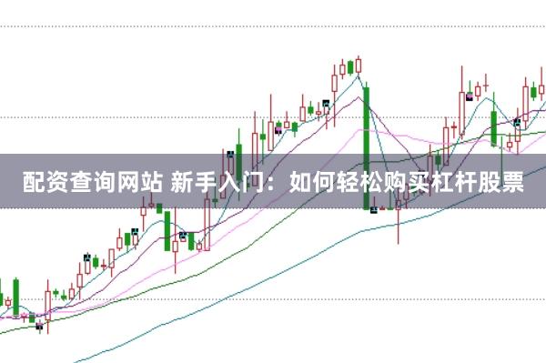 配资查询网站 新手入门：如何轻松购买杠杆股票