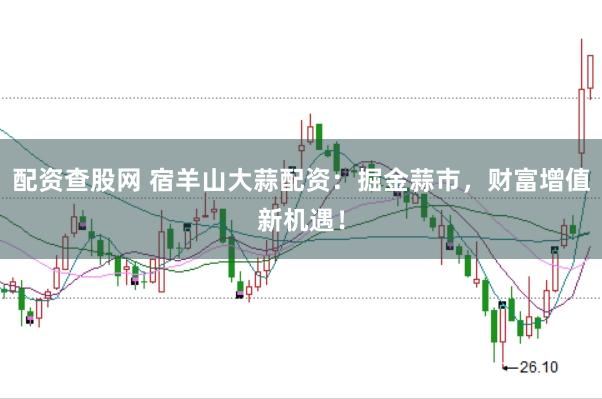 配资查股网 宿羊山大蒜配资：掘金蒜市，财富增值新机遇！