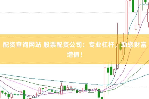 配资查询网站 股票配资公司：专业杠杆，助您财富增值！