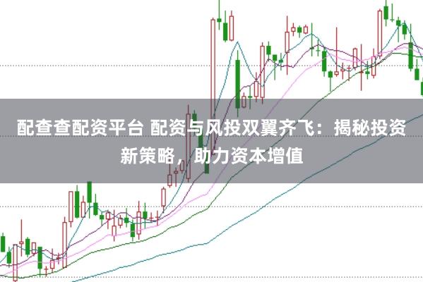 配查查配资平台 配资与风投双翼齐飞：揭秘投资新策略，助力资本增值