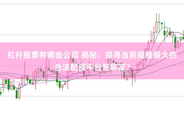 杠杆股票有哪些公司 揭秘：探寻当前规模最大的合法配资平台是哪家？