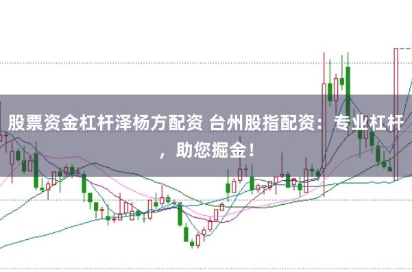 股票资金杠杆泽杨方配资 台州股指配资：专业杠杆，助您掘金！