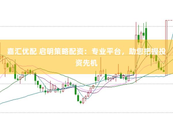 嘉汇优配 启明策略配资：专业平台，助您把握投资先机