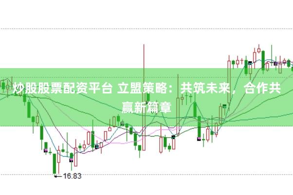 炒股股票配资平台 立盟策略：共筑未来，合作共赢新篇章