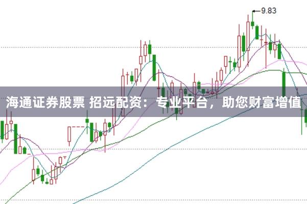 海通证券股票 招远配资：专业平台，助您财富增值
