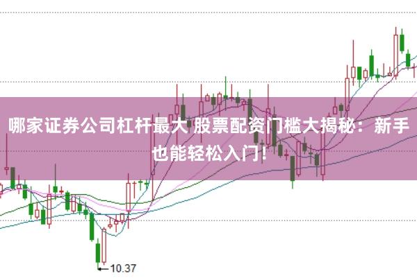 哪家证券公司杠杆最大 股票配资门槛大揭秘：新手也能轻松入门！