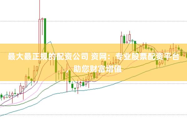 最大最正规的配资公司 资网：专业股票配资平台，助您财富增值