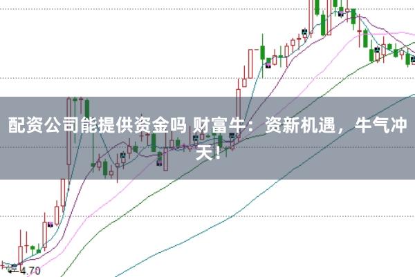 配资公司能提供资金吗 财富牛：资新机遇，牛气冲天！