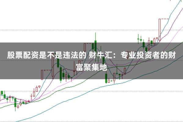 股票配资是不是违法的 财牛汇：专业投资者的财富聚集地