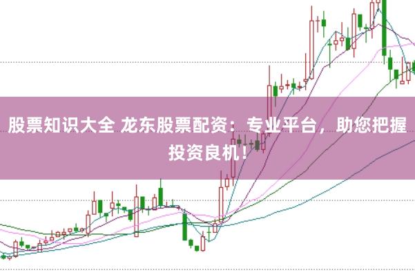 股票知识大全 龙东股票配资：专业平台，助您把握投资良机！