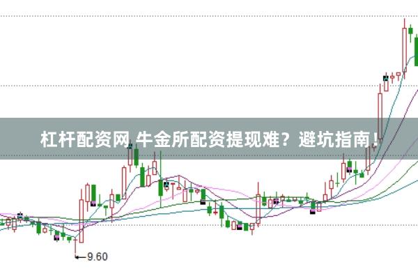 杠杆配资网 牛金所配资提现难？避坑指南！