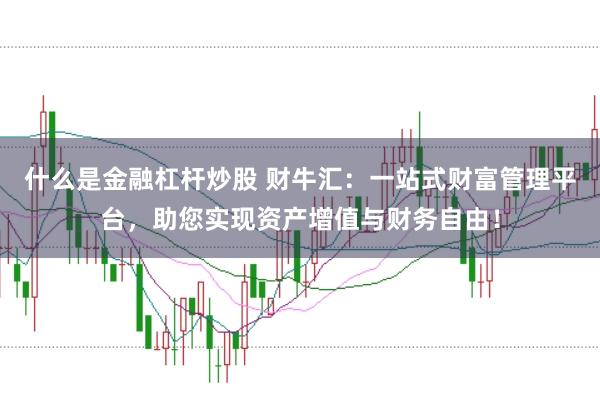 什么是金融杠杆炒股 财牛汇：一站式财富管理平台，助您实现资产增值与财务自由！